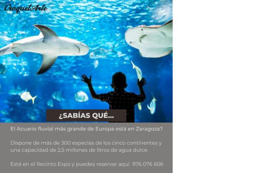 Conoce el Acuario de Zaragoza - CroquetArte